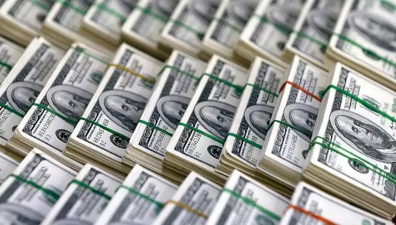 Doların Değerindeki Hızlı Yükseliş Alarmı: Ekonomik Gelişmeler Neyi Gösteriyor?