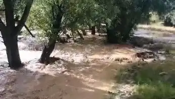 Mersin'de Sağanak Yağış: Sele Neden Olan Anlık Değişim