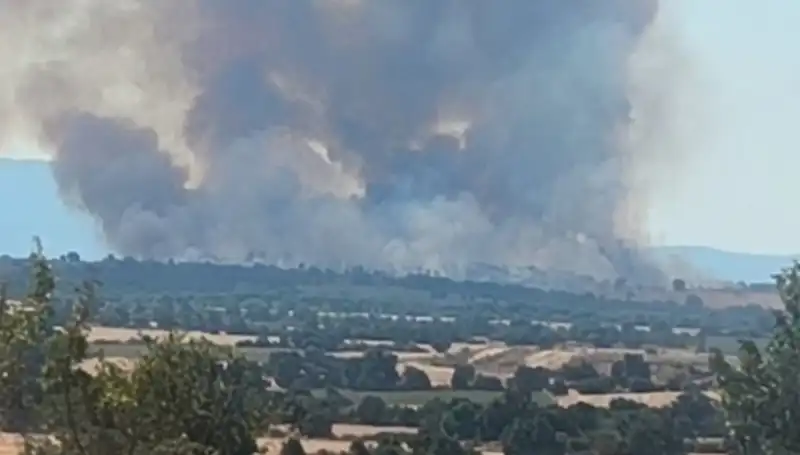 Komşudaki Orman Yangını, Edirne'yi Dumanla Kapladı!