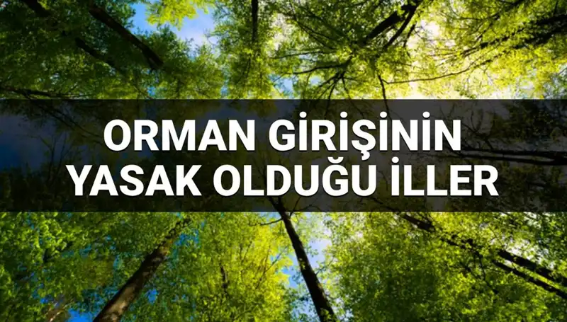 2025’te Ormana Girmek Yasaklanan İller Açıklandı: Türkiye'nin Yeni Kriterleri Neler?