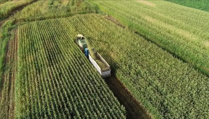 2025 Mart Ayı Mazot ve Gübre Desteği Ödemeleri İçin Beklenen Tarih
