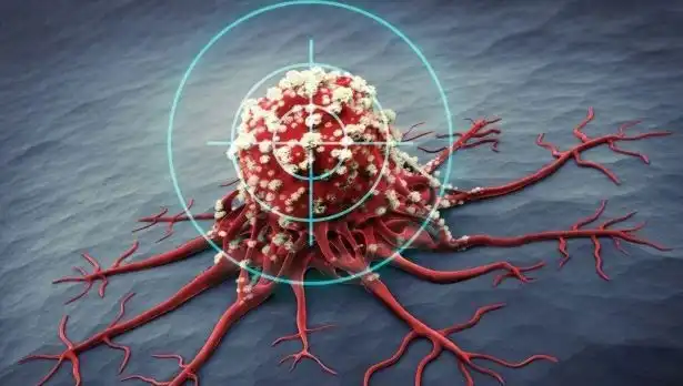 Prostat Kanserine İyi Gelen 6 Besin: Bilimsel Kanıtlar Ortaya Çıktı