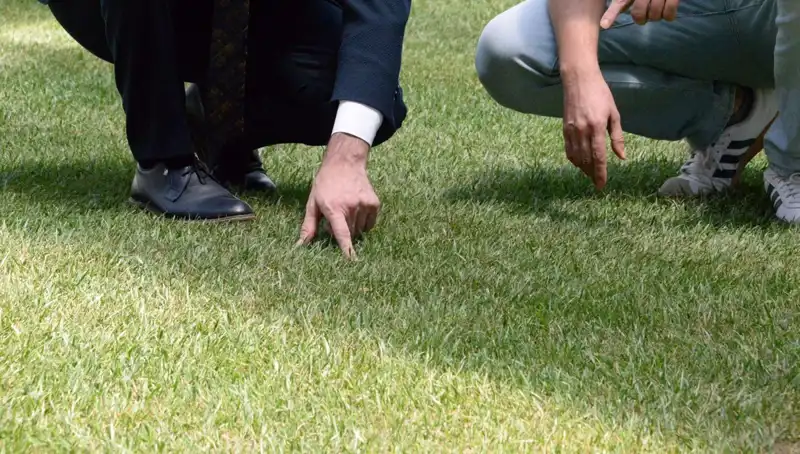Tartışmalı Stadyum Zemini: Son Durum ve Gelişmeler 10 Gün İçinde