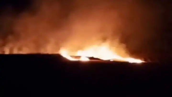 20 Dönüm Tarım Alanı Alev Alev Yandı! Yangının Sebebi Şok Etti