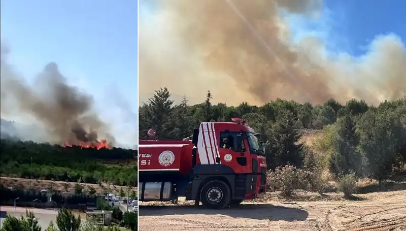 Gebze'de Korkutan Orman Yangını: Ekipler Seferber Oldu!