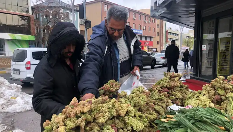 Kanserle Savaşta Doğanın Şifası: Kendiliğinden Yetişen Mucizevi Bitki