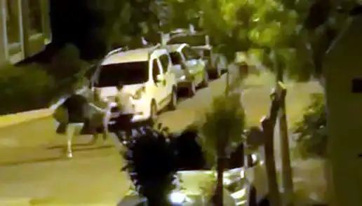 Avcılar'da Vatandaşa Saldırı: Cesur Kurtarma, Şok Edici Olay