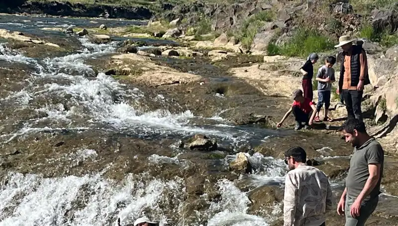 İnci Kefali Göçü: Doğanın Mucizesi Türkiye'nin Doğasında Yaşanıyor