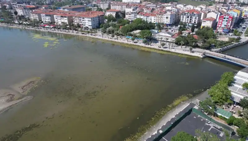 Marmara Denizi'nde Endişe Verici Durum: Ciddi Riskler Kapıda
