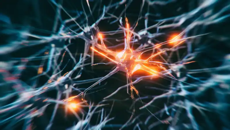 Alzheimer Vakaları Neden Katlanarak Artıyor? Uzmanlardan Çarpıcı Açıklamalar