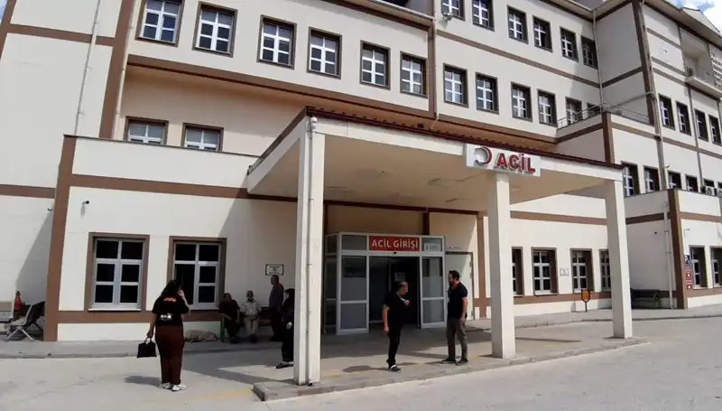 Bolu'da Ayı Avı Kararı: Doğa Koruma mı, Sorun Çözümü mü?