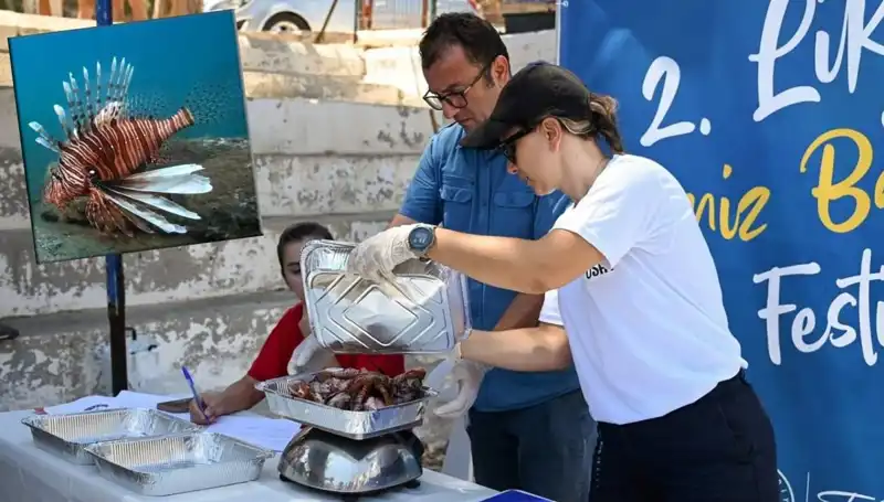 Antalya'da İstilacı Aslan Balığı Avlama Yarışması: Denizler Zenginleşsin
