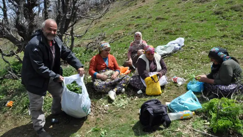 Kilosu 250 Lira: Ailelerin Geçim Kaynağı Olmak İçin 5 Saat Yürüyerek Topladıkları Hazine