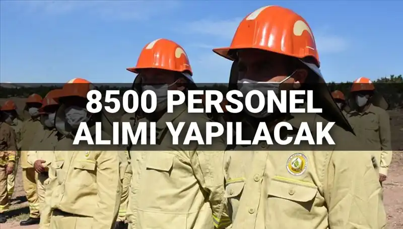 2025 Tarım ve Orman Bakanlığı 8500 Personel Alımı Duyurusu: Başvuru Şartları Neler?