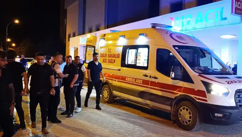 Kardeş Kavgasına Müdahale Eden Genç Hayatını Kaybetti