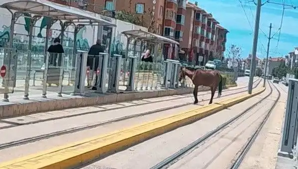 Eskişehir'de Tramvay Raylarında Başına Bu Olacak Hiç Beklemezsiniz!