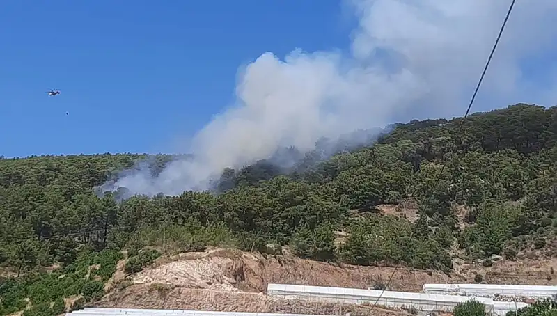 Kumluca'daki Orman Yangını: Ekipler Seferber Oldu, Hasar Tespiti Başladı