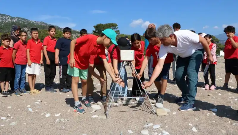 Kemer'de Caretta Caretta Koruma Yasakları Başladı: Turizme Etkileri Neler Olacak?