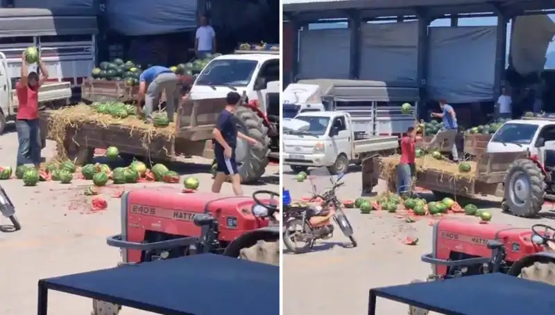 Karpuzları Yere Atıp Parçalayan Çiftçilere Geldi: Yeni Düzenleme!