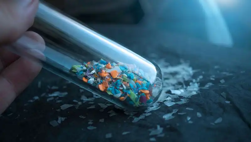 Mikroplastikler İnsan Beyninde Neler Yapıyor? Etkileri ve Sonuçları