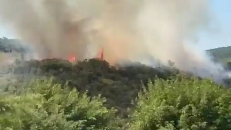 İstanbul'da Korkutan Orman Yangını: Vatandaşlar Acil Tahliye Edildi!
