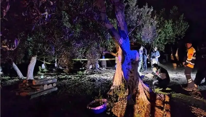 Çiftlikteki Baltalı Vahşette Şok Tutuklama: Olayın Ayrıntıları Ortaya Çıktı