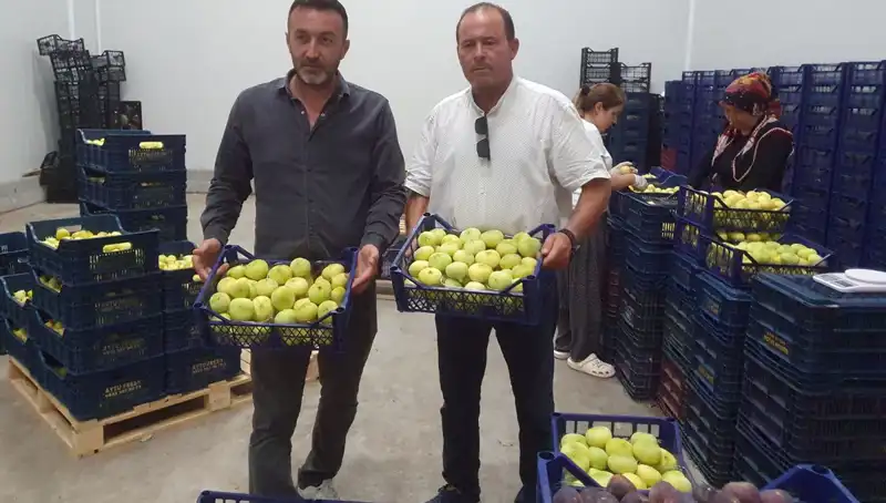Mersinli Çiftçilerin Umut Veren Ürün İhracı: 20 TL'den Satılıyor
