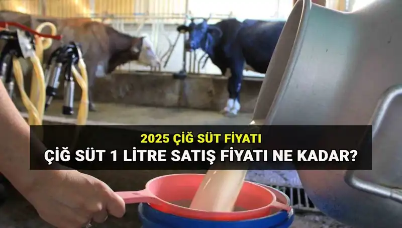 2025'te Çiğ Süt Fiyatları: Ulusal Süt Konseyi'nden Beklentiler ve Gerçekler