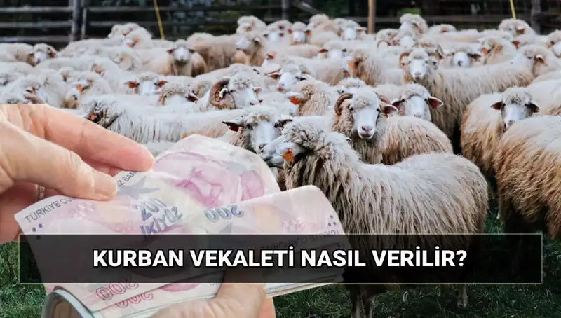 Vekaletle Kurban Kesimi 2025: Diyanet'in Belirlediği Bedel ve Süreç