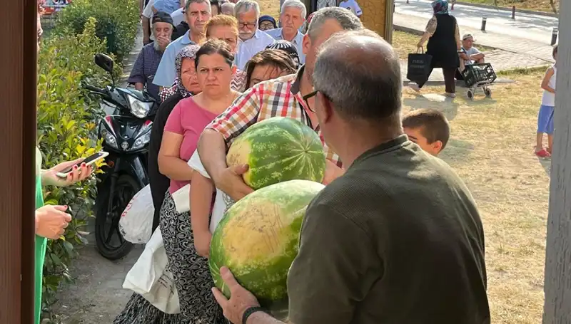 Tarlada Kaldı: Ürünler Hasat Edildi ama Tüketiciye Ulaşmadı
